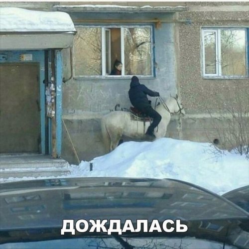 Прикольные фотомемы для хорошего настроения Прикольные фотомемы для хорошего настроения