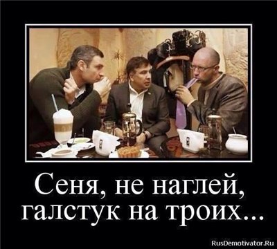 Украинске власти чуть не сбежали в Польшу из-за слуха о вводе войск РФ Украинске власти чуть не сбежали в Польшу из-за слуха о вводе войск РФ