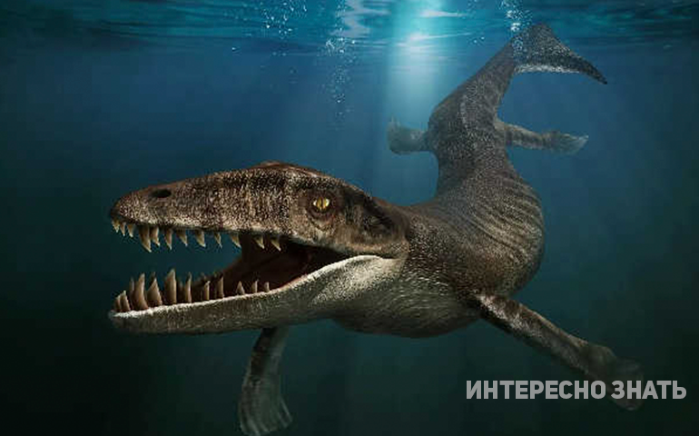 Самые ужасные хищники доисторических морей