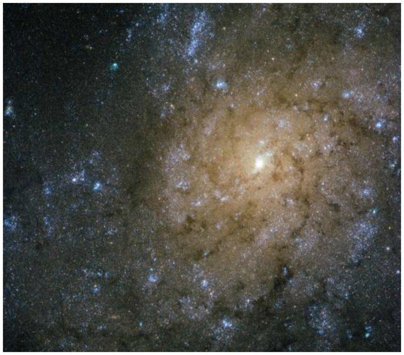 NGC 7793, uma galáxia espiral na constelação do escultor, localizada a aproximadamente 13 milhões de anos-luz da Terra.  interessante, espaço, beleza, ciência, foto