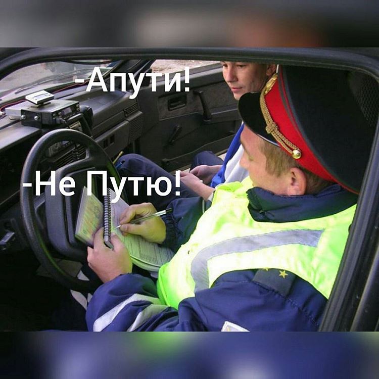 Чего только не встретишь на дороге...