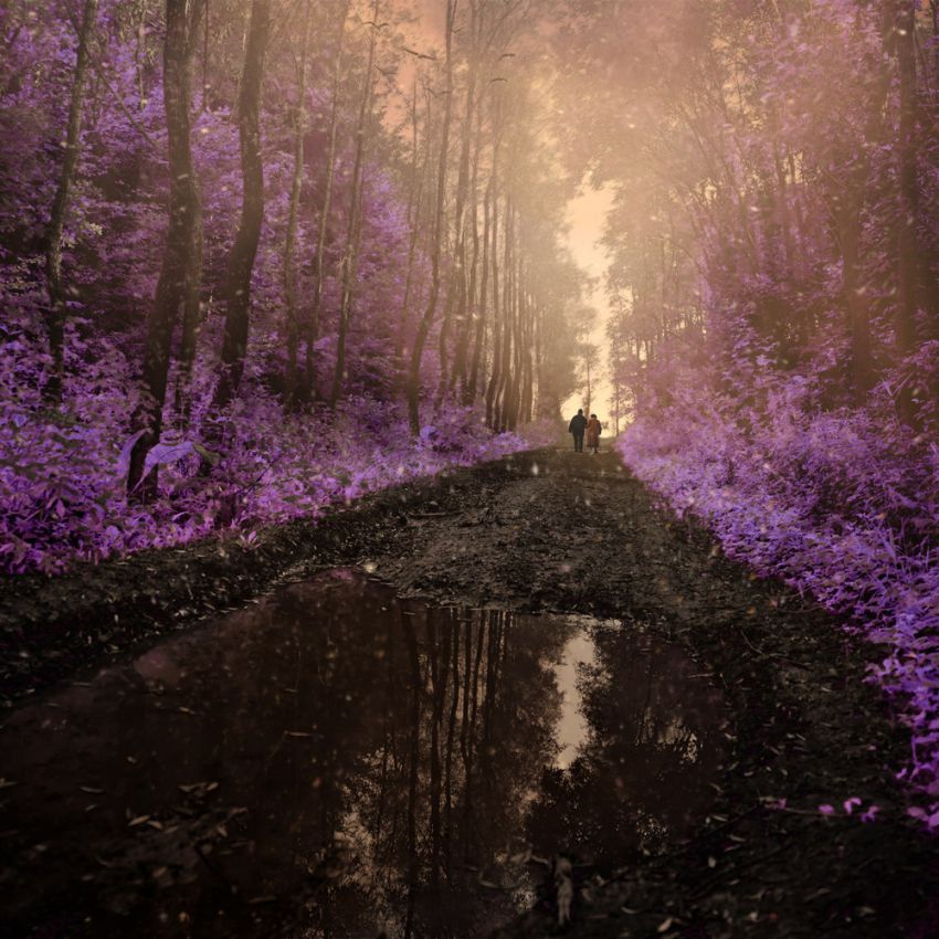 фотоманипуляции, креатив