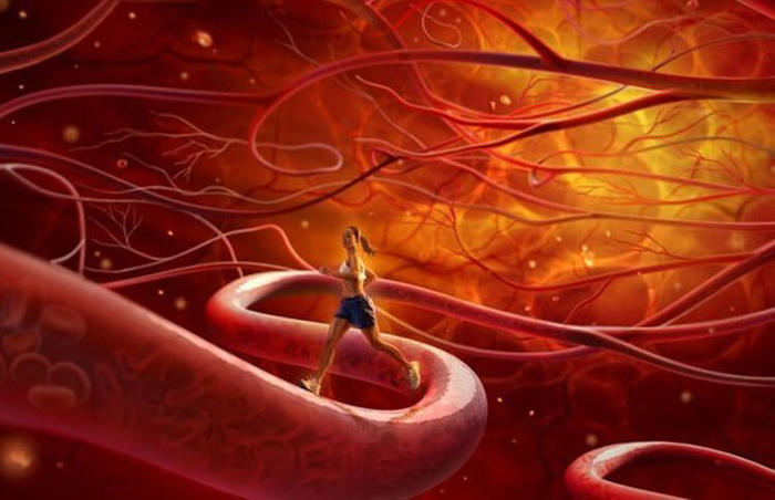 002-21 (700x452, 50Kb)