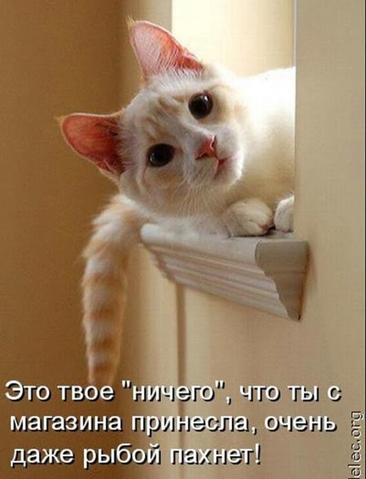 d2cebc0cc1afb422ea472442793