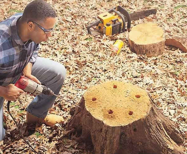 Легкая корчевка пней и борьба с сорняками на участке