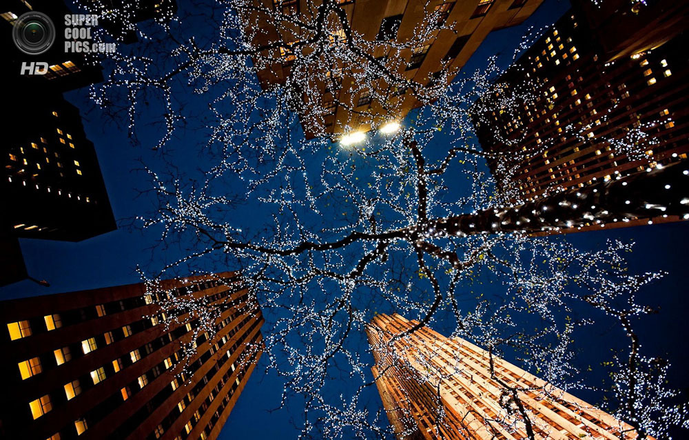 Рождественская сказка