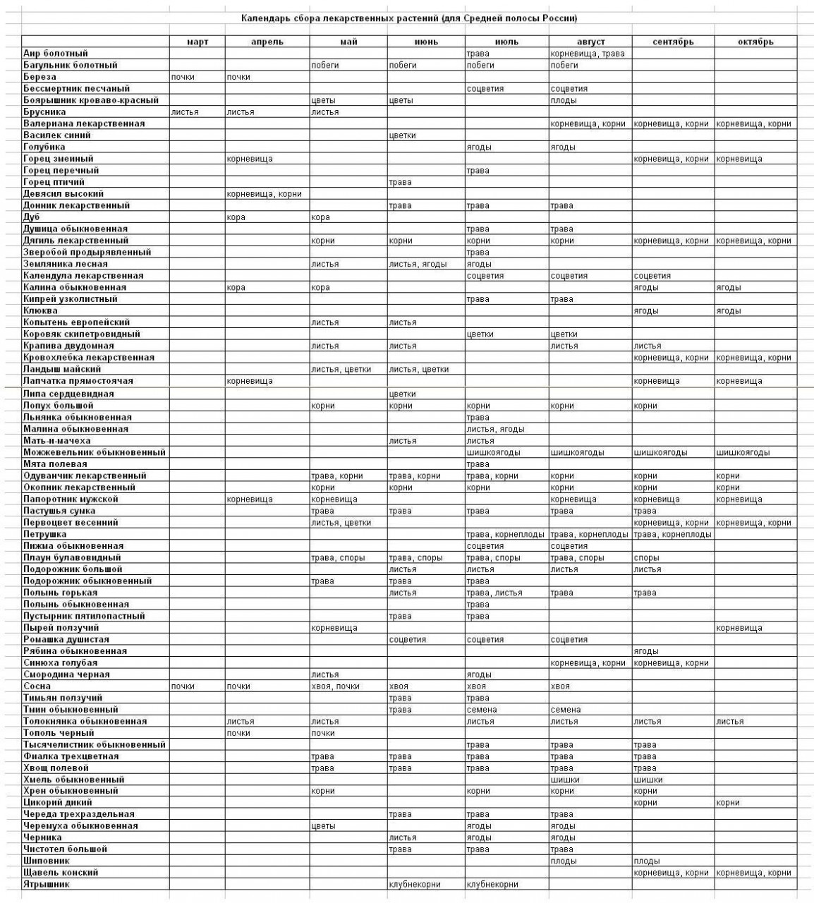 Календарь сбора лекарственных трав Когда и как правильно собирать лекарственные растения