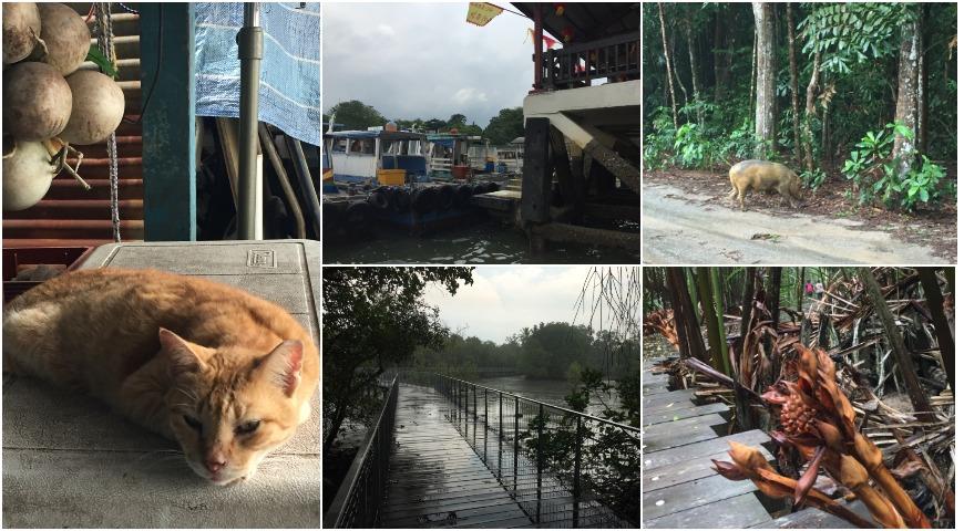 Pulau Ubin, Сингапур