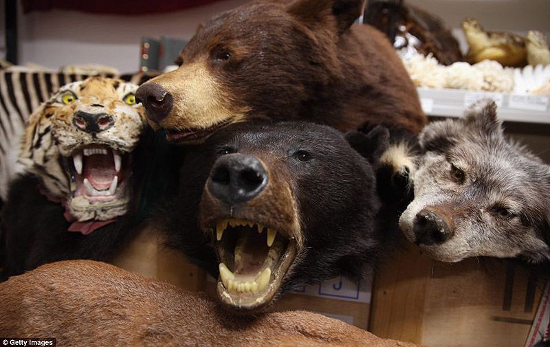 аэропорт, контрабанда, конфискация, Лондон, таможня