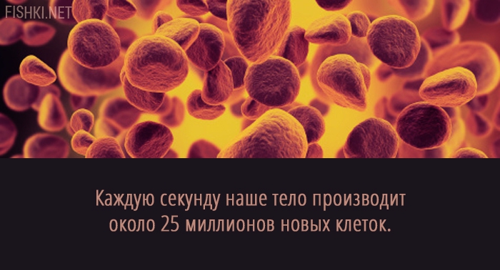 20 суперспособностей, которые есть у каждого 20 суперспособностей, которые есть у каждого анатомия, факты, человек