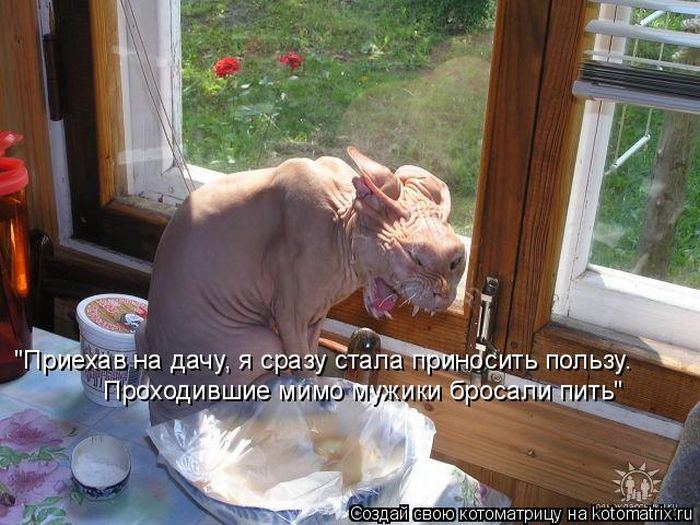 Мысли вслух :)