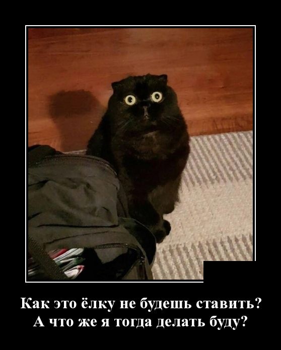 Демотиваторы смешные Демотиваторы смешные