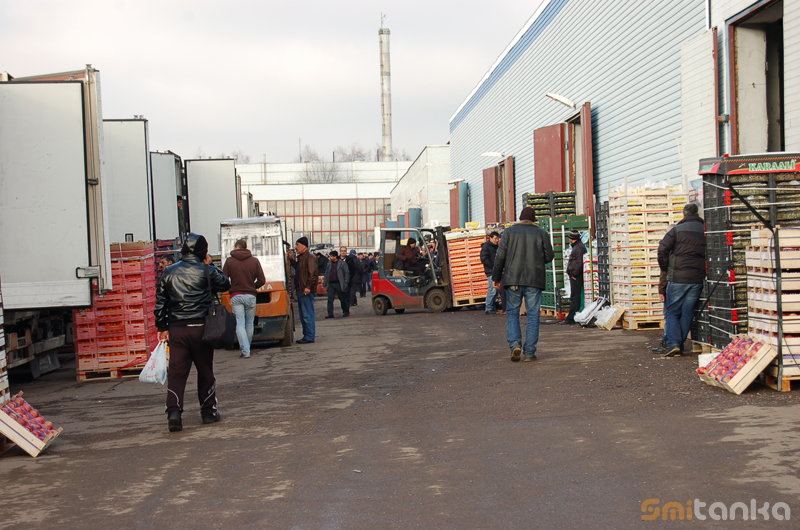 «Новое Бирюлёво» в Серпуховском районе. Репортаж по горячим следам Расследование