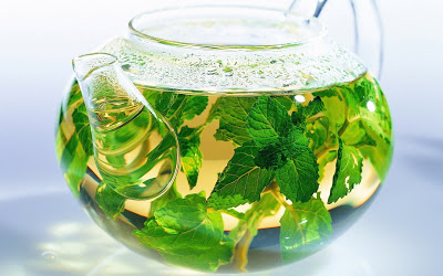 Какие травы можно пить вместо чая каждый день?