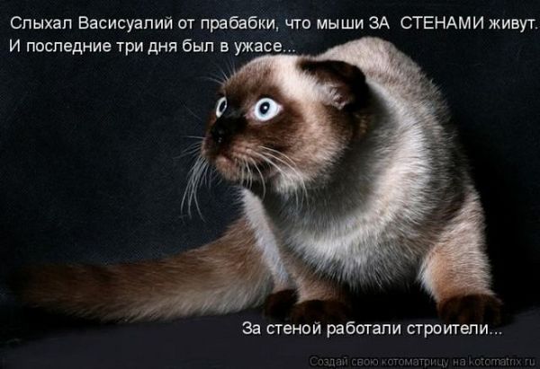 Запрет на строительные работы в выходные дни