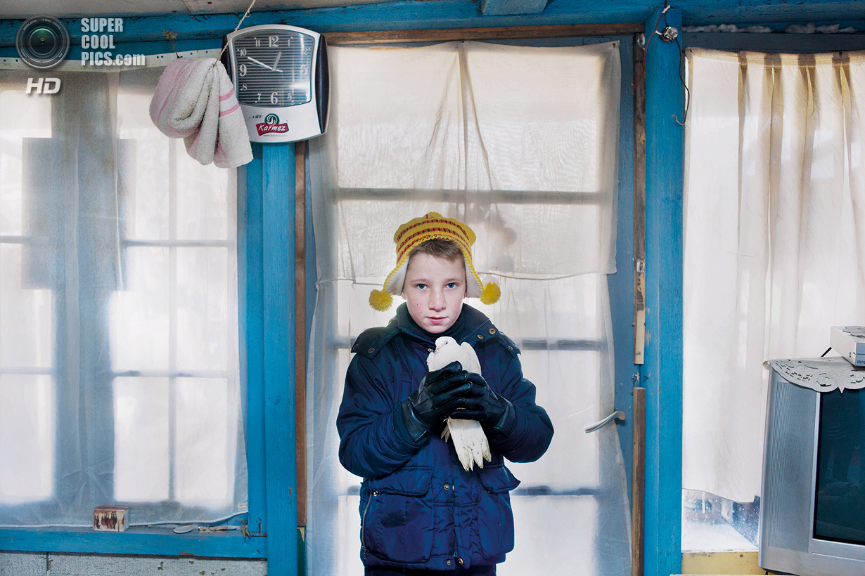 Лучшие снимки фотоконкурса National Geographic 2013