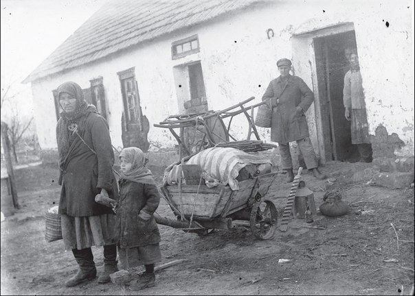 Мышиное нашествие 1932 года в СССР: как оно связано с голодомором