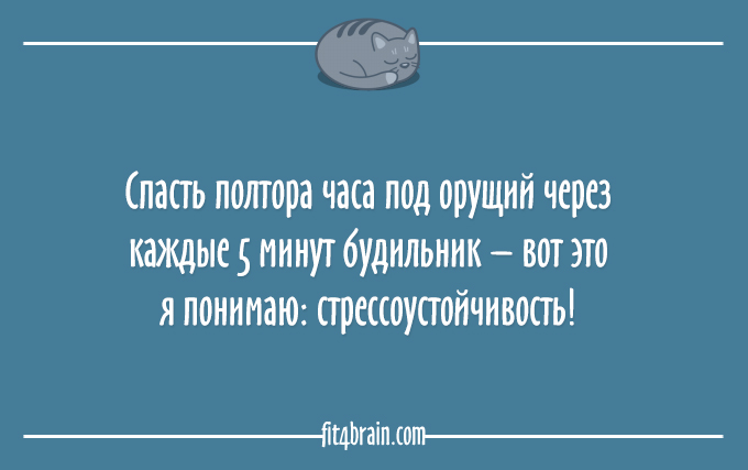 Любите спать? Тогда этот пост - для Вас! Любите спать? Тогда этот пост - для Вас!