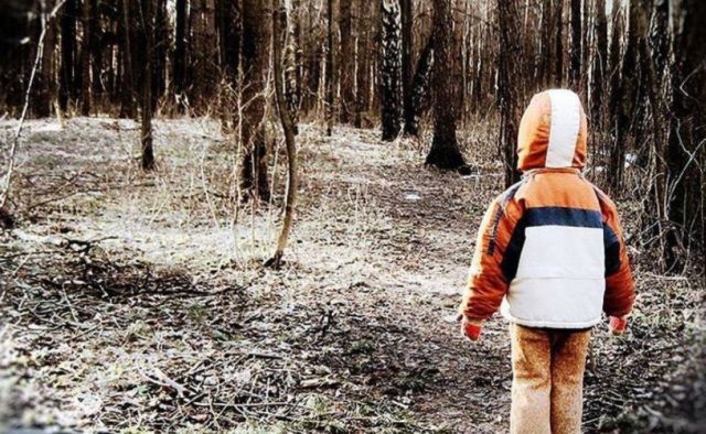 В лесу спасатели нашли заблудившегося мальчика, который уверял, что ему помог выжить медведь
