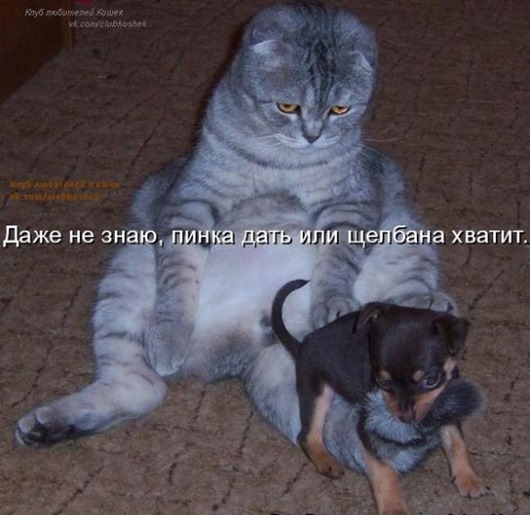 2d90145a17bf63f594d90c8183c_prev