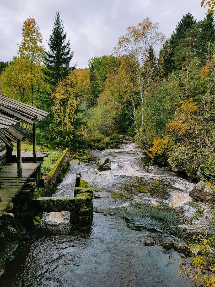 Старая мельница