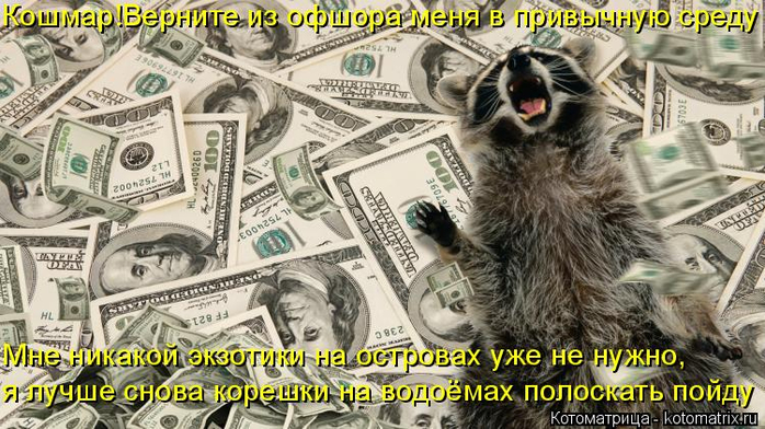 kotomatritsa_L (700x392, 371Kb)