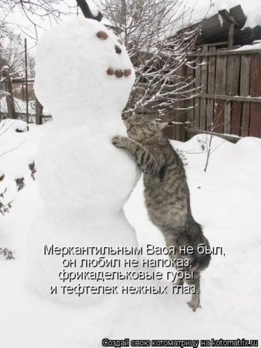 Лучшие котоматрицы недели, 25 фото