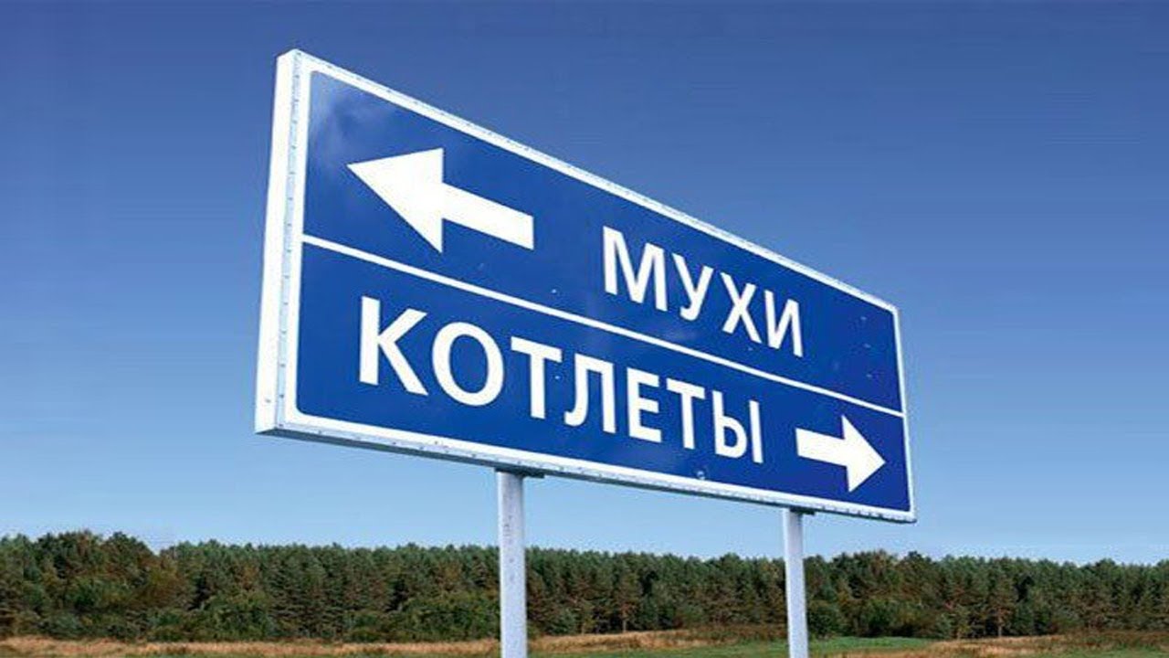 Про мух и котлеты. Юлия Витязева Про мух и котлеты. Юлия Витязева