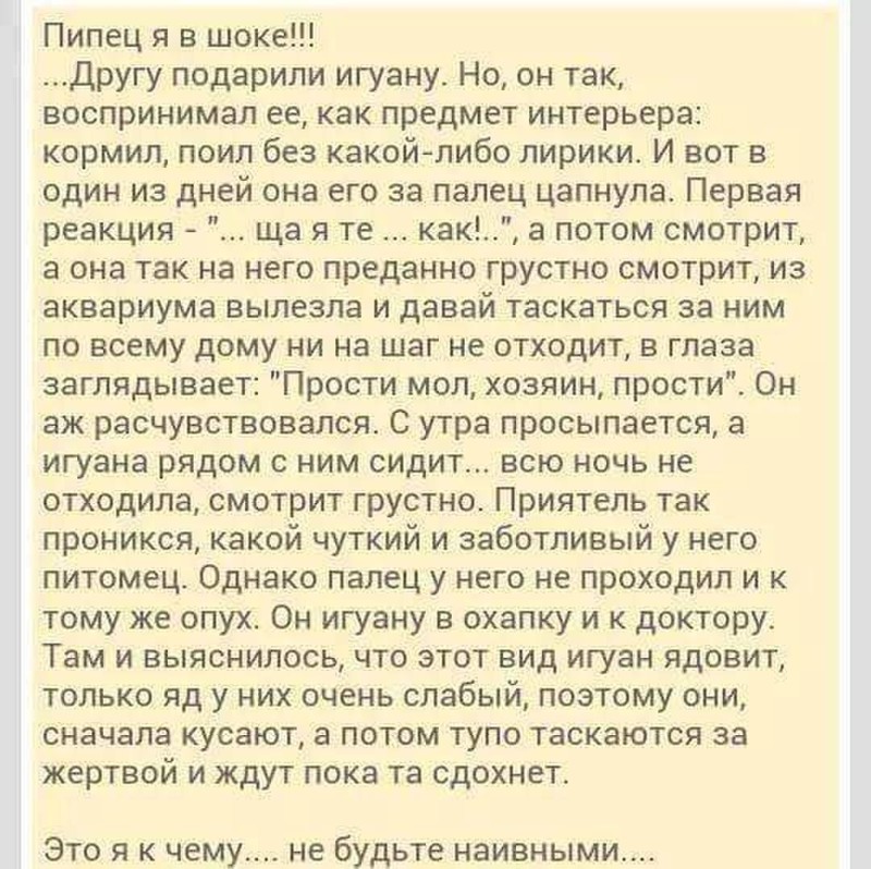 Смешные картинки с надписями Смешные картинки с надписями прикол, юмор