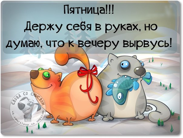 Поздравления с юмором со смыслом 291