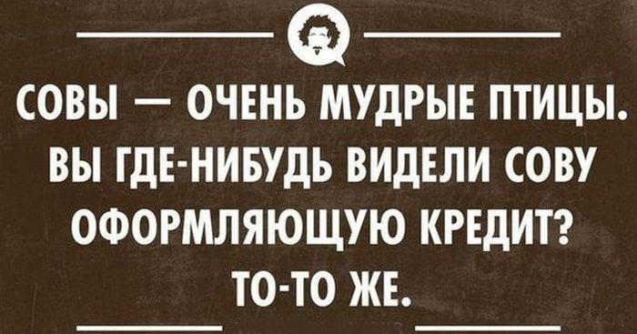 21+ убойных фраз, которые дарят позитив на весь день