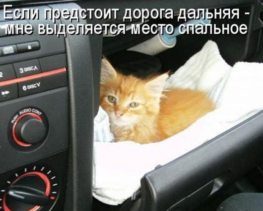 1db93d19db1854ac09413a69702_prev