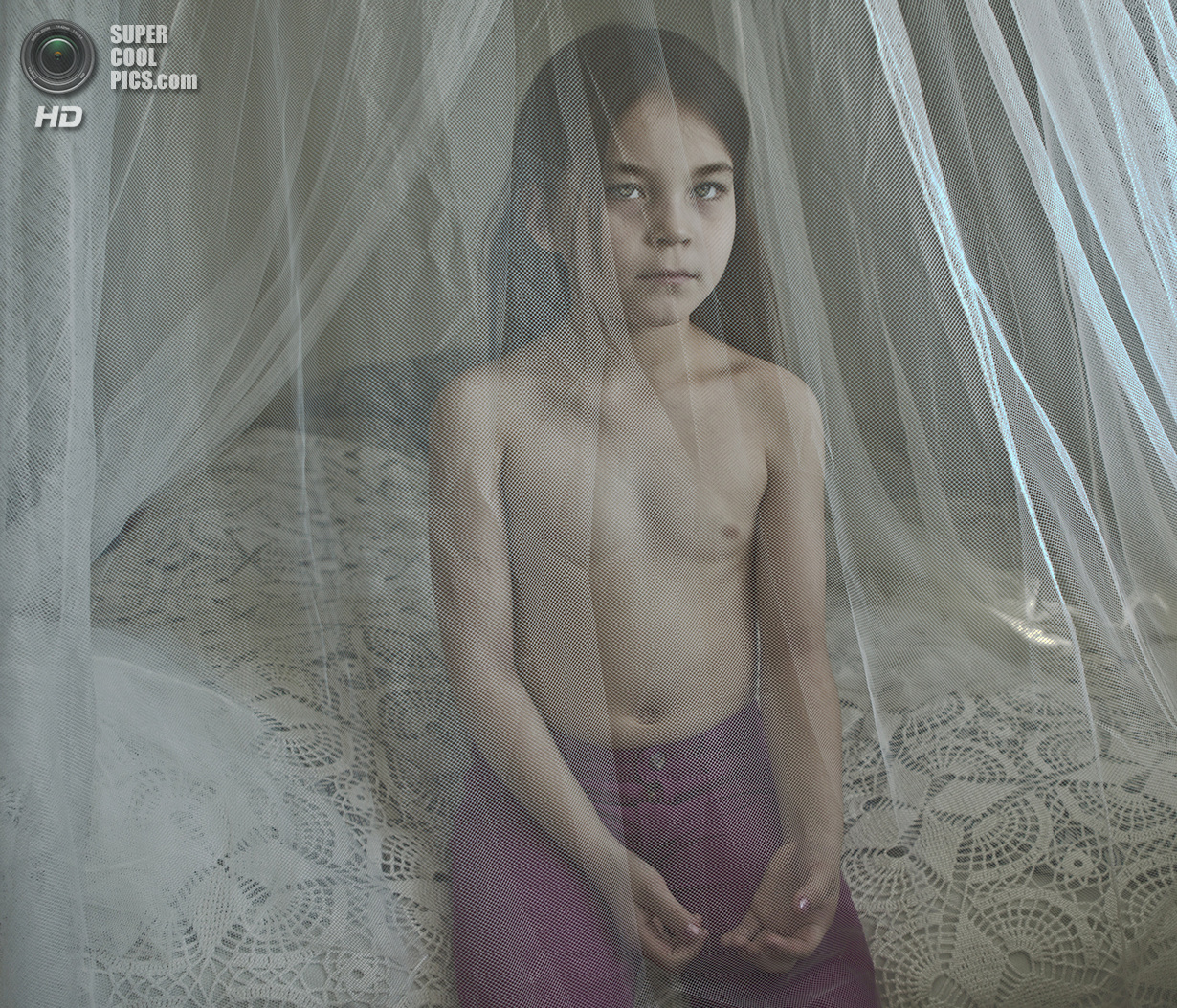 Лучшие снимки фотоконкурса National Geographic 2013