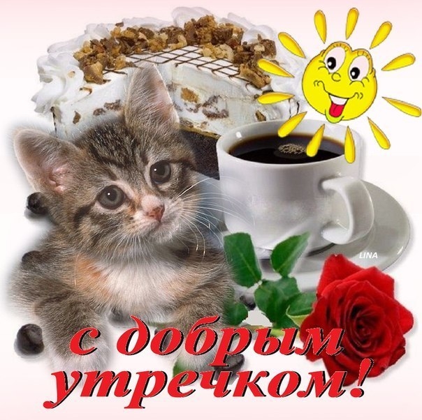 С добрым утром олечка открытки