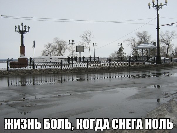 Смешные картинки с надписями Смешные картинки с надписями прикол, юмор