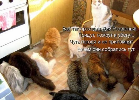 1e28cefe43f3a5cab1c5cacf505_prev