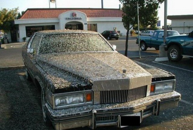 Автоприколы Автоприколы авто, прикол, сделай сам, юмор