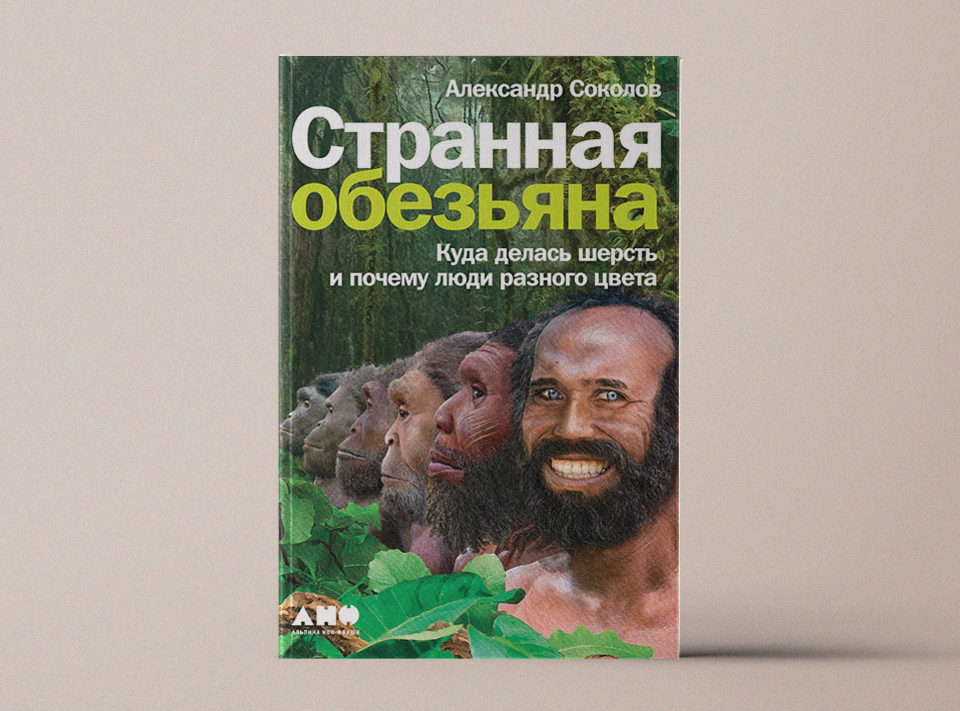 «Странная обезьяна: Куда делась шерсть и почему люди разного цвета»