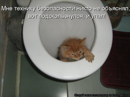 котомашечки от Лисицы))