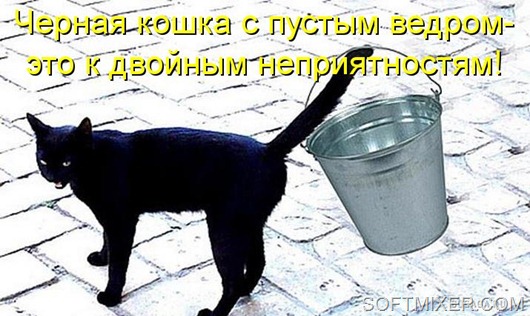 kotomatritsa_1- kotomatritsa_1-