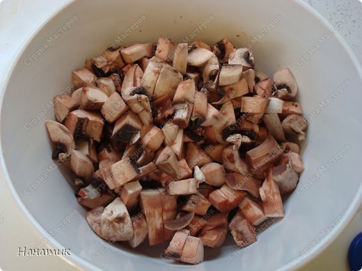  !            Lyumila  ,      <a href=