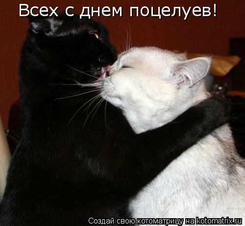 Котоматрица: Всех с днем поцелуев!