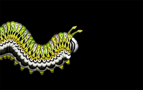 Сесилия Уэббер: Human Flowers