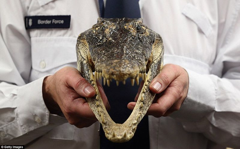 аэропорт, контрабанда, конфискация, Лондон, таможня