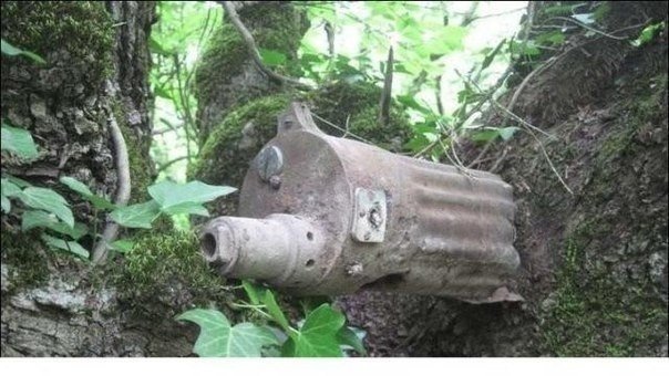 Эхо войны Эхо войны
