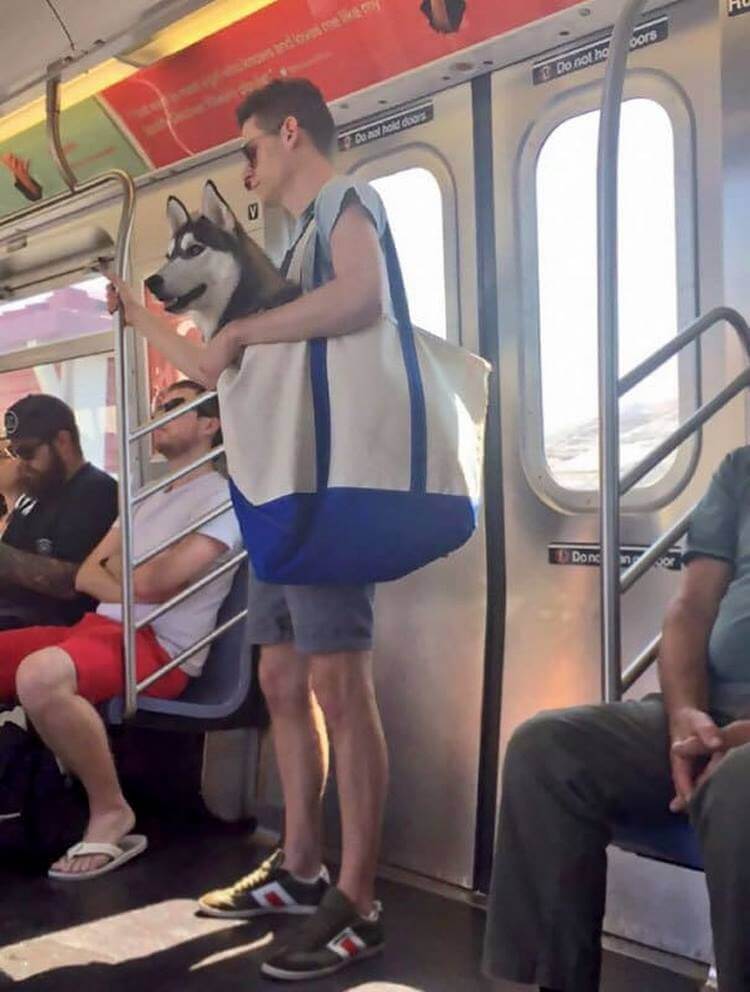 Метро — это самое странное место на земле, вот 20 фото в подтверждение! Метро — это самое странное место на земле, вот 20 фото в подтверждение!