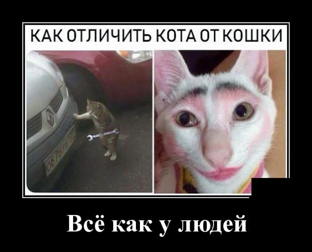 Демотиваторы смешные Демотиваторы смешные
