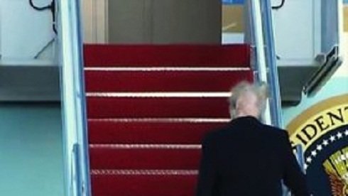 Носит ли Дональд Трамп парик? Носит ли Дональд Трамп парик? Дональд Трамп, волосы, ложь президента, лысина, неожиданно, парик, президент сша, прическа