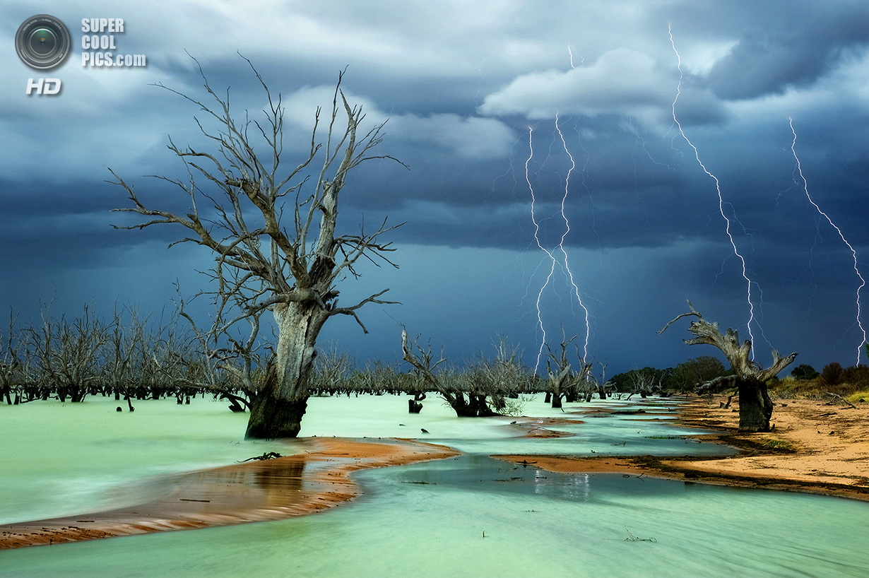 Лучшие снимки фотоконкурса National Geographic 2013