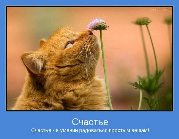 ПЕРЛЫ ДЕТЕЙ И ИХ РОДИТЕЛЕЙ. ПЕРЛЫ ДЕТЕЙ И ИХ РОДИТЕЛЕЙ.